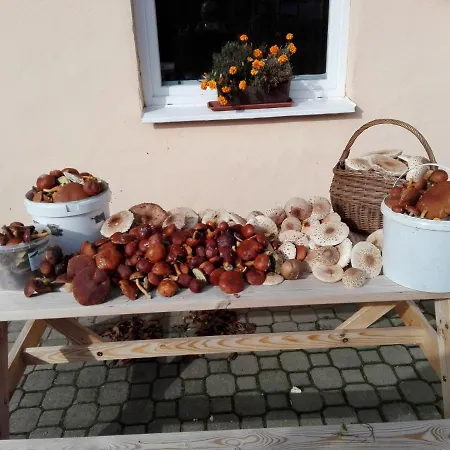 Mazurskie 2 Appartement